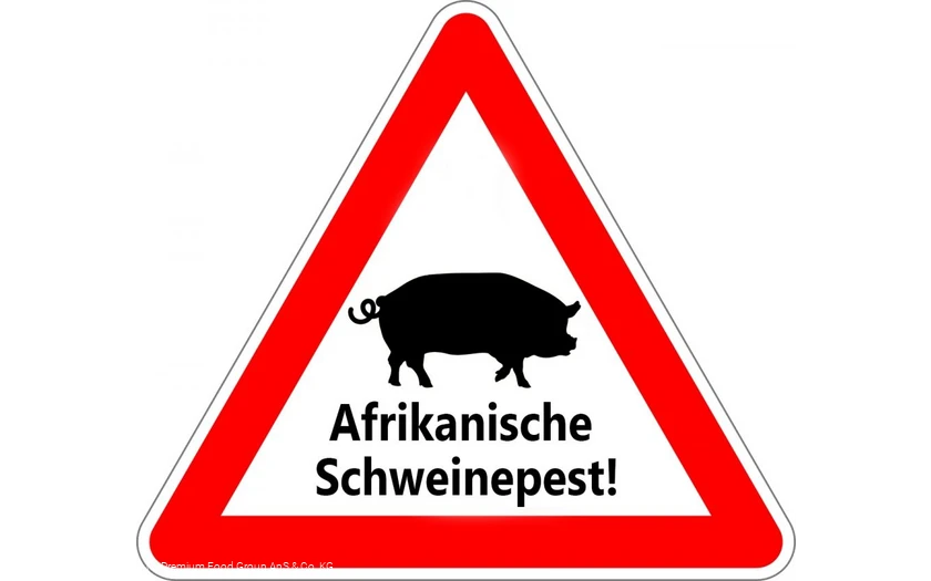 Afrikanische Schweinepest
