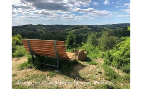 Der Aussichtspunkt mit Waldsofa und traumhaften Au