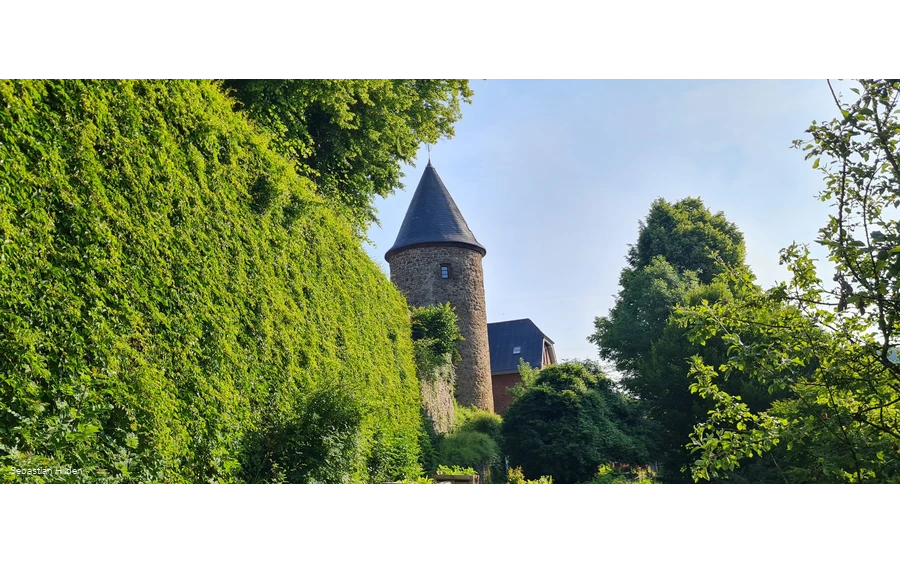 Foto_Hexenturm-vom-Weierhohl.jpg