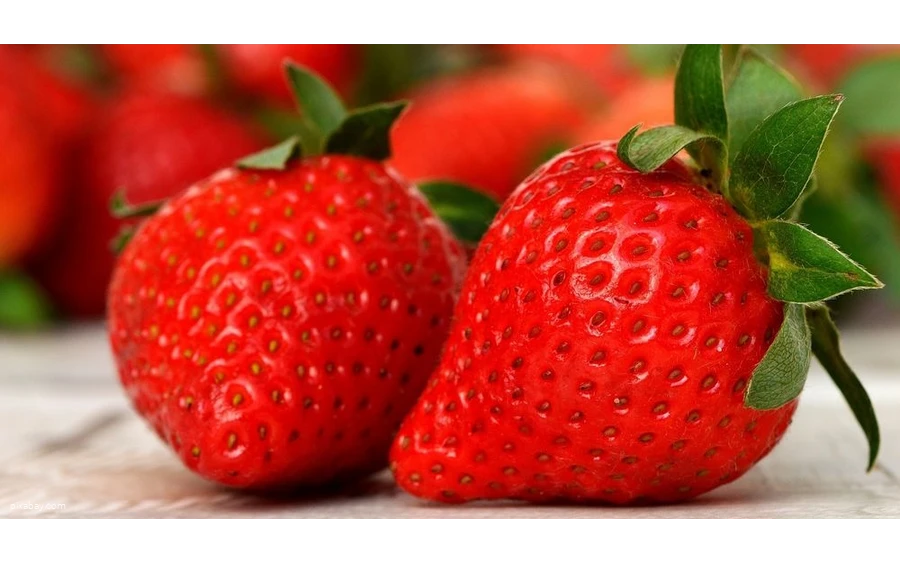Erdbeeren