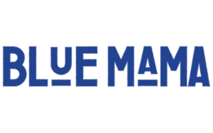 BlueMama_Logo_Schriftzug_blau-300x70.png