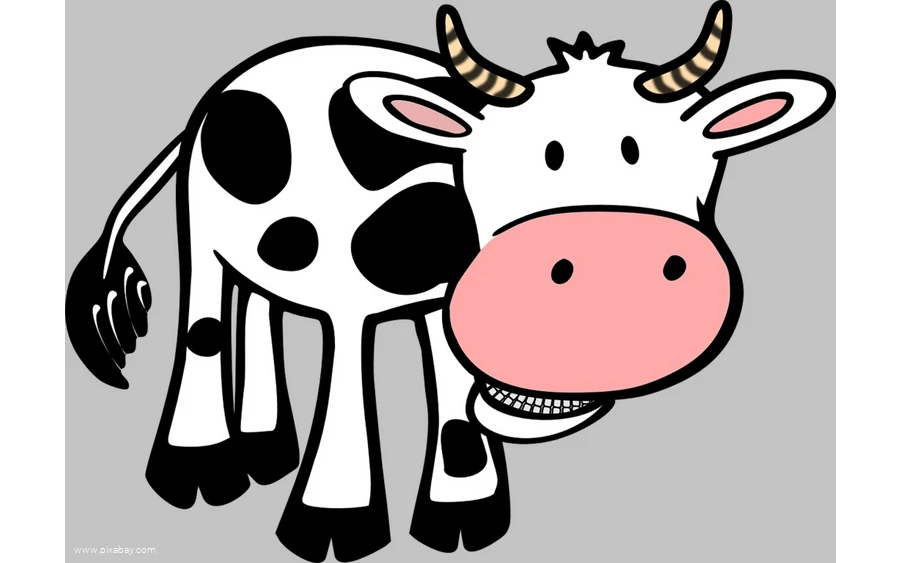 Symbol Kuh
