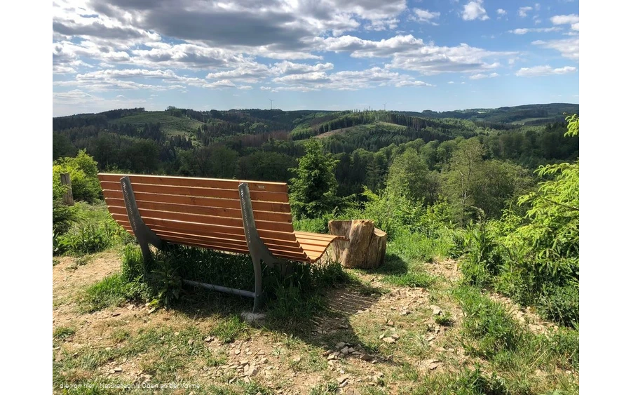 Der Aussichtspunkt mit Waldsofa und traumhaften Au