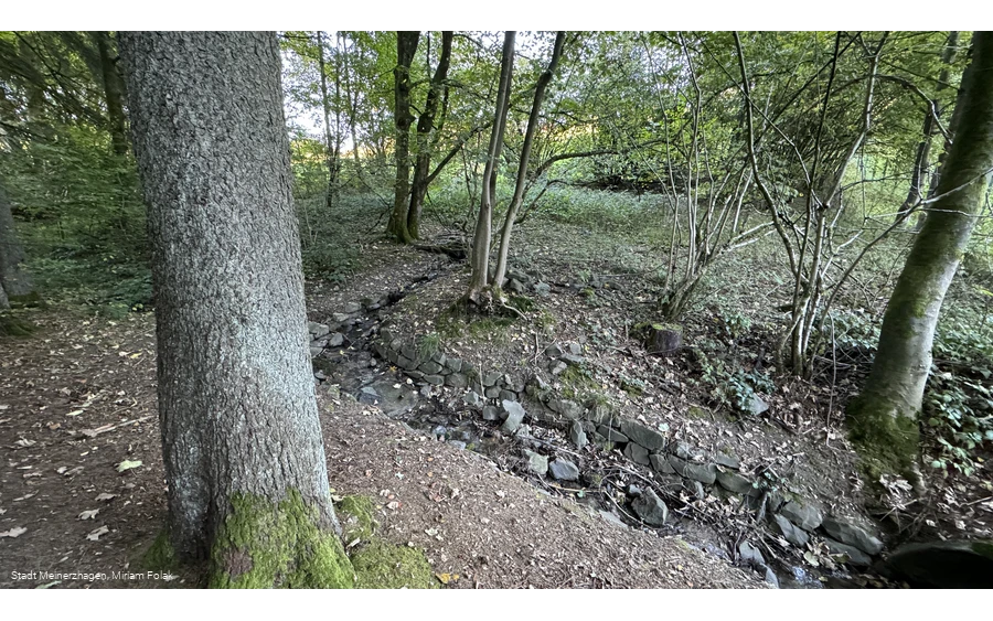 Aggerquelle im Oktober