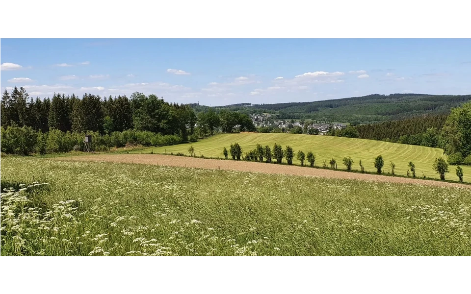 Rundwanderweg