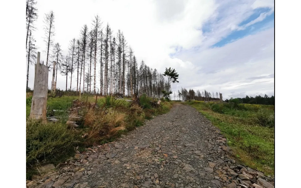 Mountainbike 1.jpg