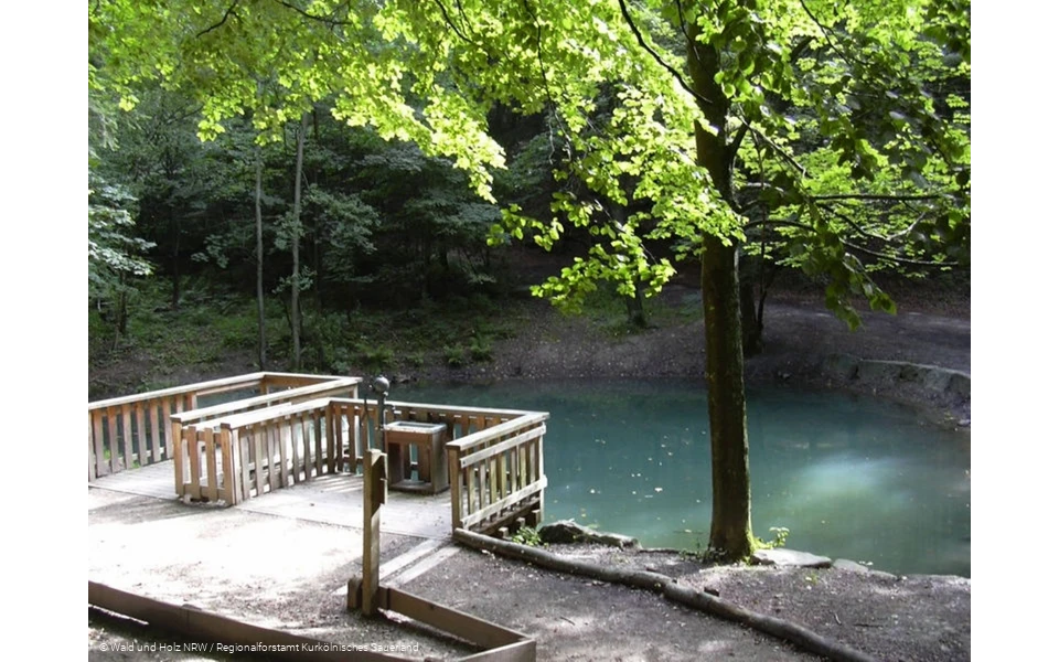 Waldweg Grenzenlos Olpe - "Silbersee" mit Plattformen