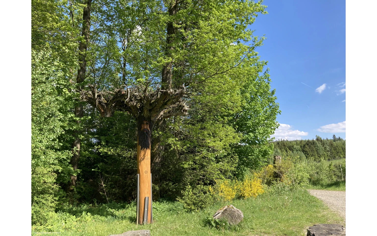 Rastplatz Jägerfichte