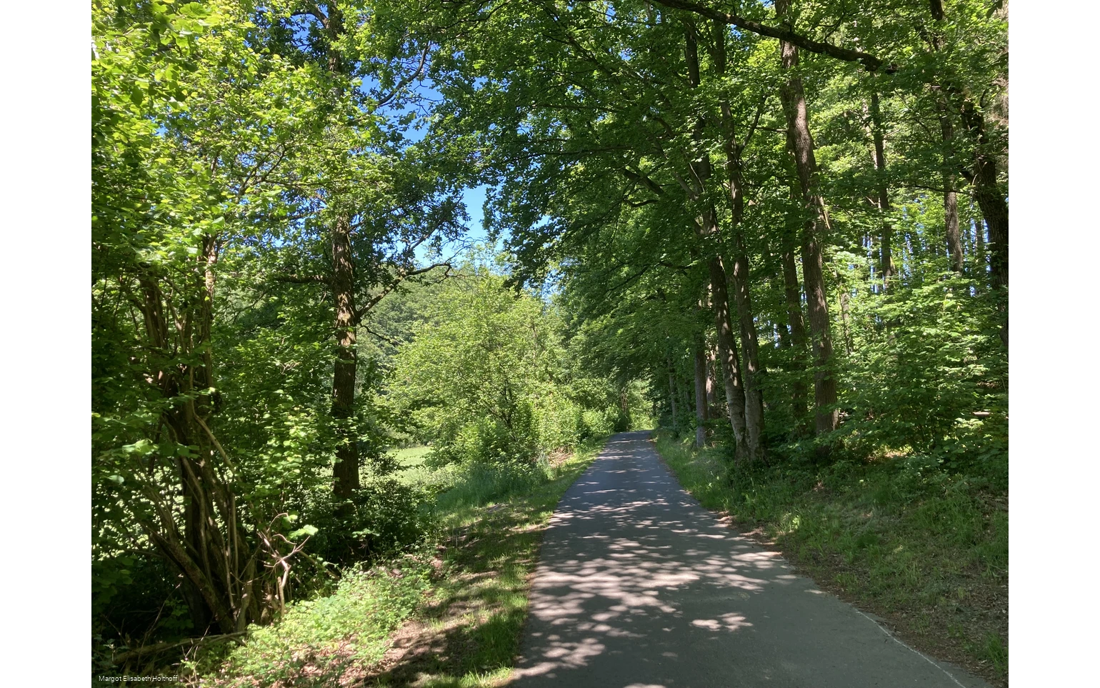 Auf dem Dräulzer Nr. 3 Steinbruchrunde.jpg