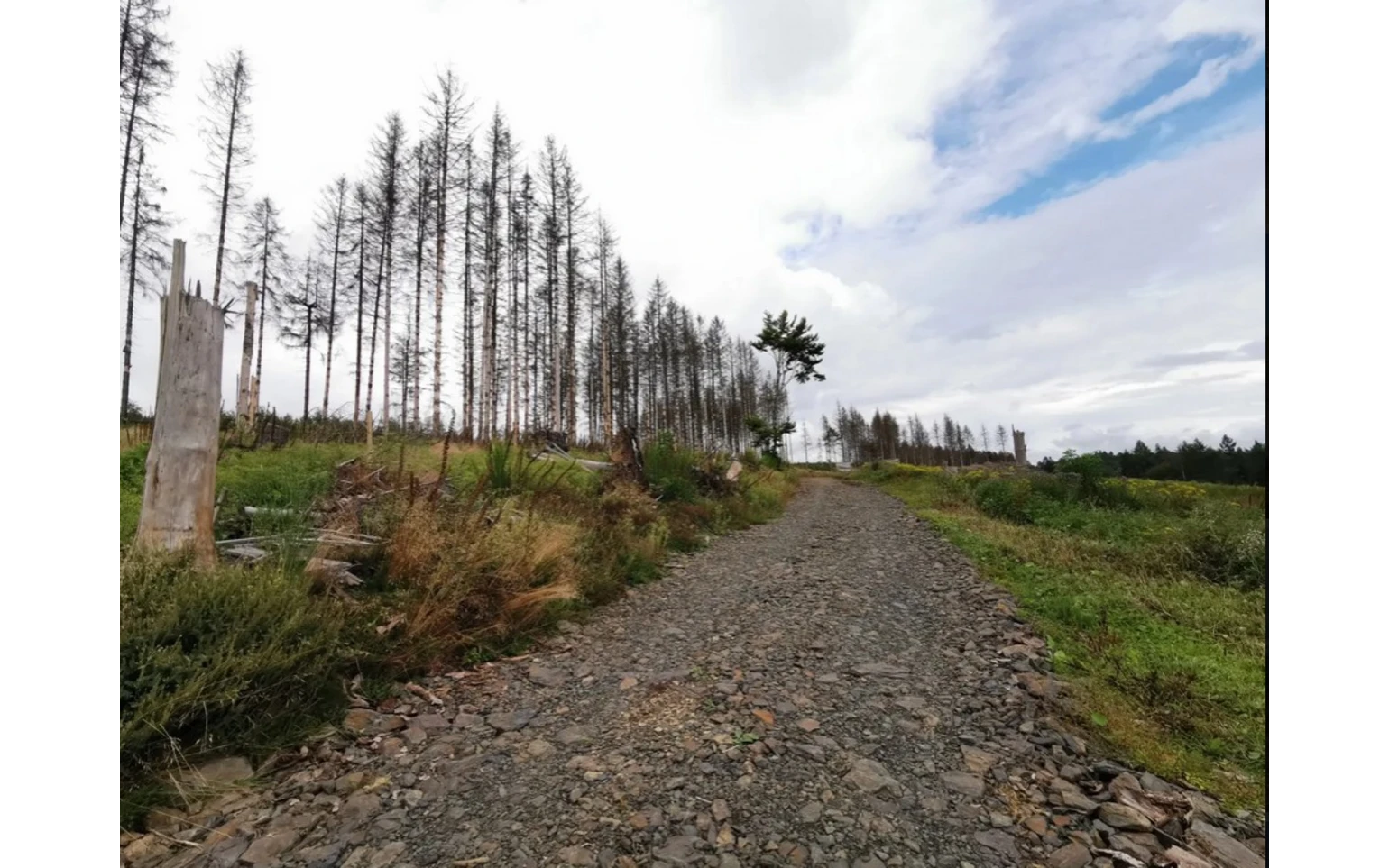 Mountainbike 1.jpg