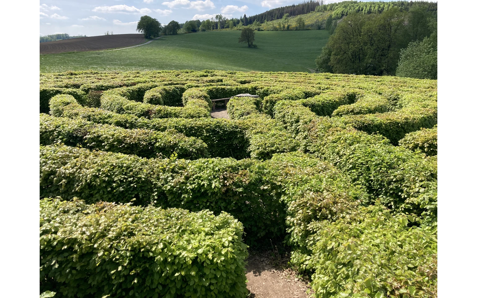 Labyrinth