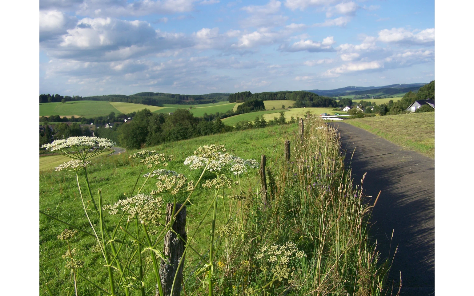 Oberhalb von Husten
