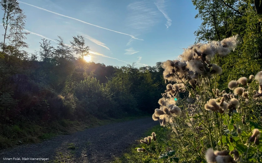 Sauerland-Höhenflug in der Morgensonne