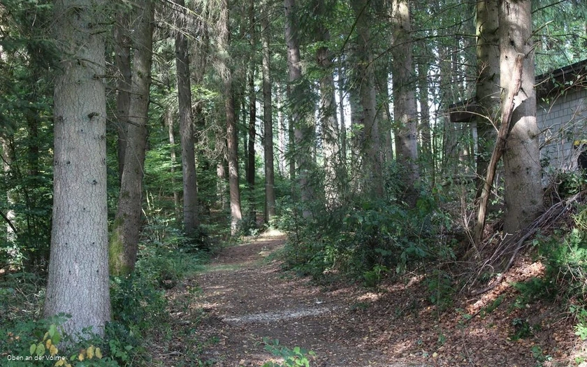 Das gut sichtbare Hohlweg