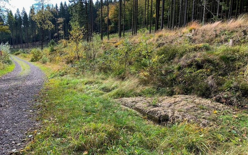 Der Hohlweg mit der Karrenspur in der Nähe der Lis