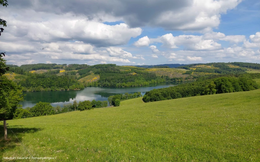 Panoramaaussicht-am-Listerblick.jpg