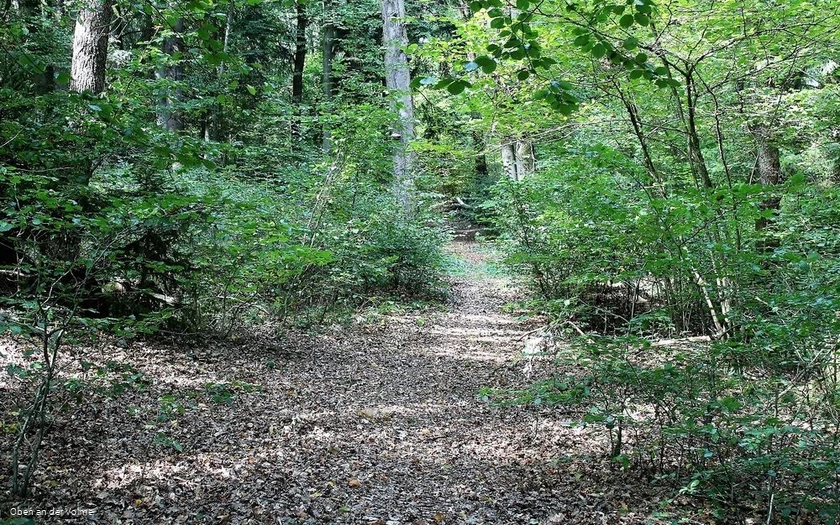 Hohlweg Haumche im Stadtgebiet von Meinerzhagen