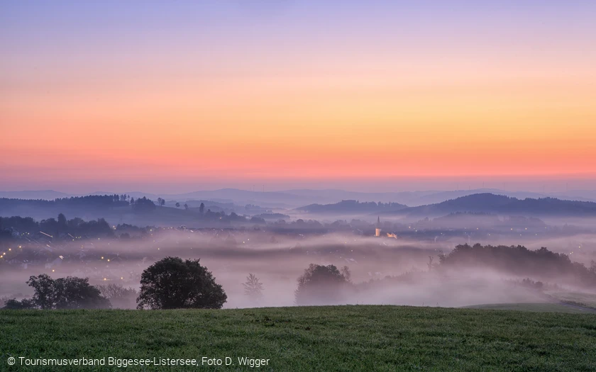 Morgennebel über der Landschaft, Foto D. Wigger