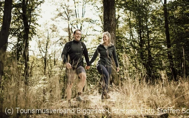 Wanderer im Wald 1, TV Biggesee-Listersee.jpg
