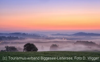 Morgennebel über der Landschaft, Foto D. Wigger