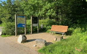 20210825 Heed (1).jpg