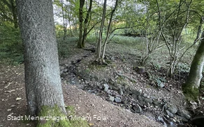 Aggerquelle im Oktober