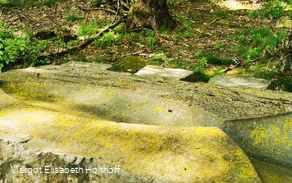 KuLTisch Fisch 2.jpg