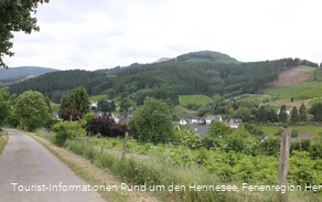 Ausblick über Heringhausen