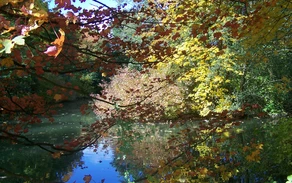 herbstlicher Mikrokosmos
