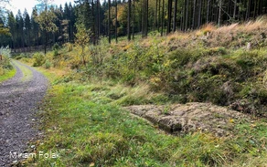 Der Hohlweg mit der Karrenspur in der Nähe der Lis