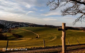 Scheuerpfahl Wegweiser