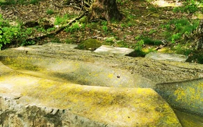 KuLTisch Fisch 2.jpg