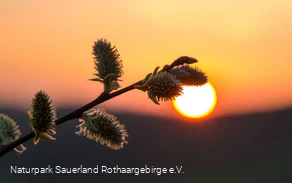 ... Sonnenuntergangsstimmung im Märkischen Sauerla