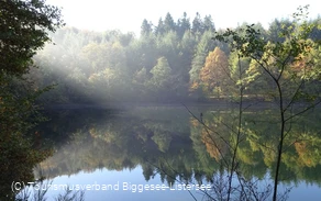 Lister im Morgennebel Foto TV Biggesee-Listersee