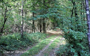 Deutlich ist historische Straße noch zu erkennen