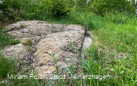 Karrenspur / Teufelsstein von Willertshagen