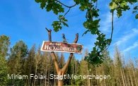 Sagenort "Hexeneiche"