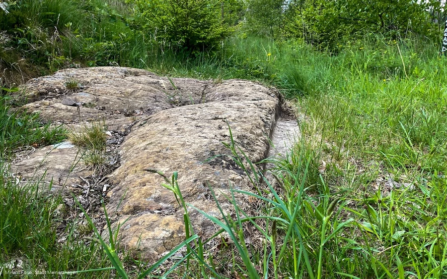 Karrenspur / Teufelsstein von Willertshagen
