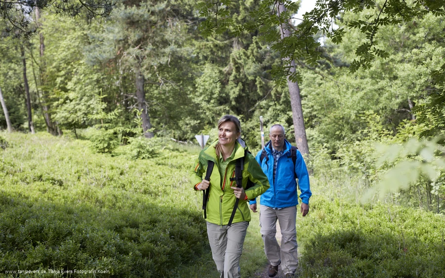 Sauerland-Wanderdoerfer_Pfad (Foto tanja Evers).jpg