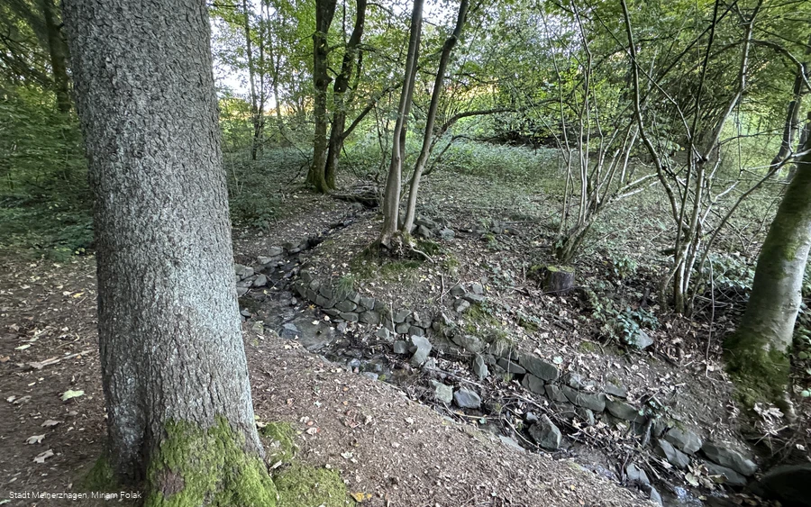 Aggerquelle im Oktober