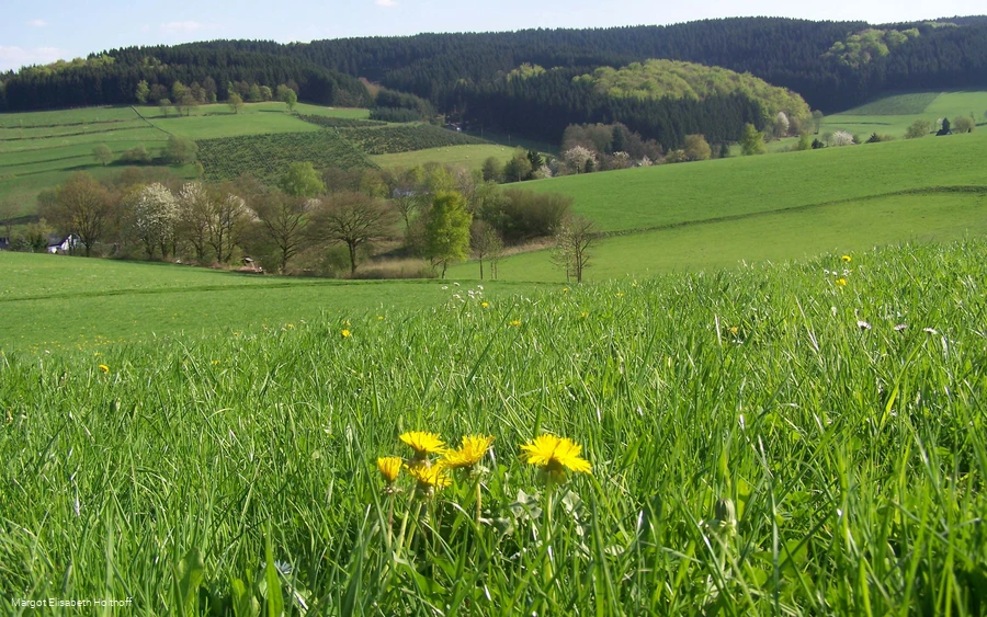 A3 oberhalb von Herpel.jpg