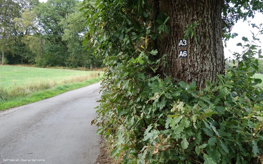 Das Makierungszeichen führt uns den Weg entlang
