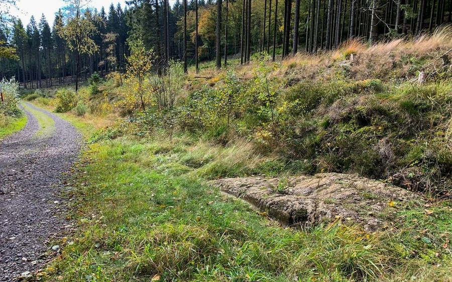Der Hohlweg mit der Karrenspur in der Nähe der Lis
