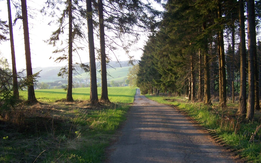 Silberkuhle