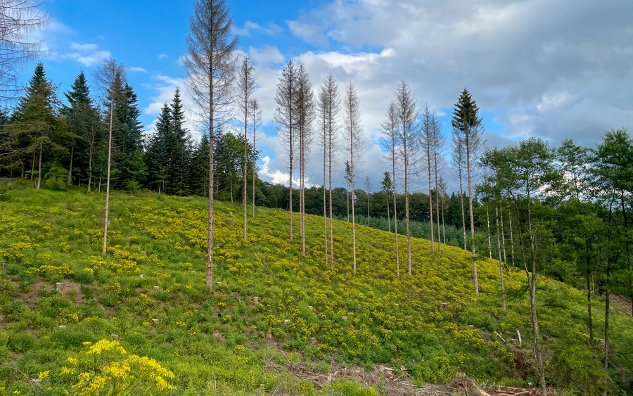 20210810 Rundtour MZ Volmetal Ebbegebirge Rad (c) Miriam Folak  (1).JPG