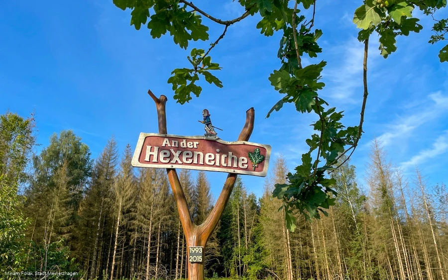 Sagenort "Hexeneiche"
