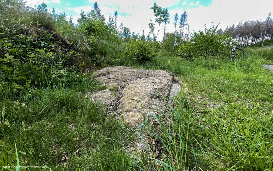 Der Willertshagener Teufelsstein