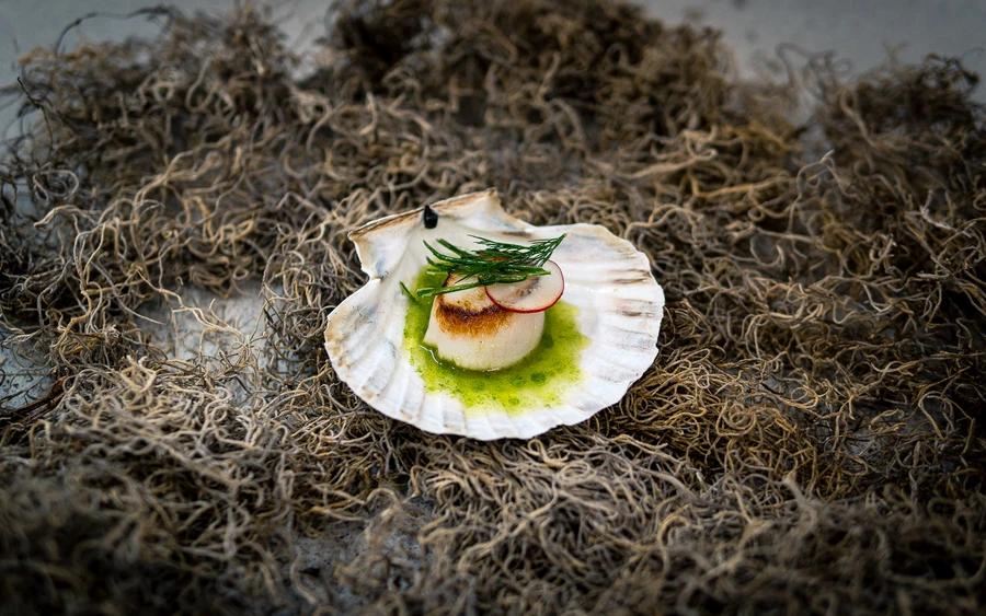 Romantik Hotel Platte - Kulinarik Fine Dining 1 - © Bastian Meiritz – CC-BY-SA.jpg