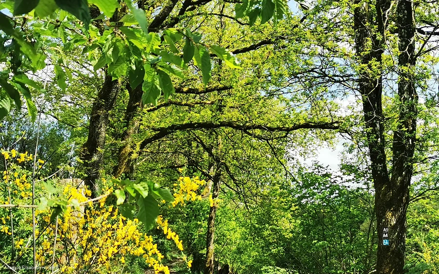 Oberhalb von Dumicke