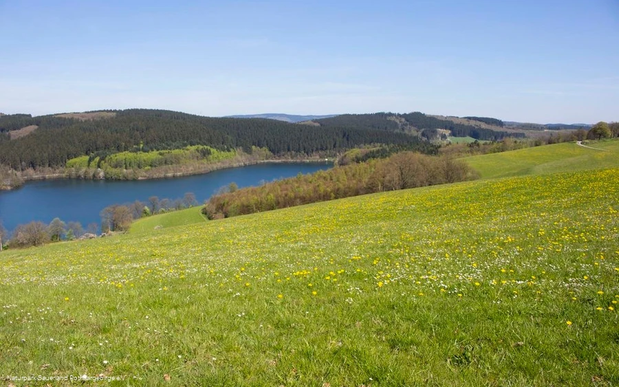 "Der Listerblick" "Der Listerblick"